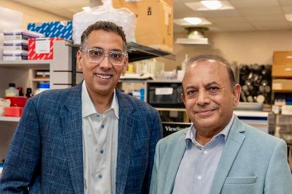 Dinender Singla’s “smart, tiny bubbles” treat cancer and heart disease