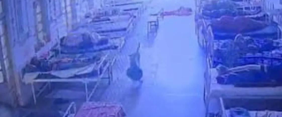 MP Hospital Jewellery Theft Mystery: Dog ‘Steals’ ₹4 Lakh Bag, CCTV Helps Police Crack Case