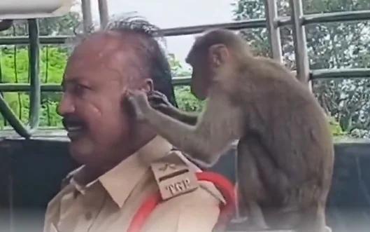 Monkey’s Playful Antics With Cops Go Viral!