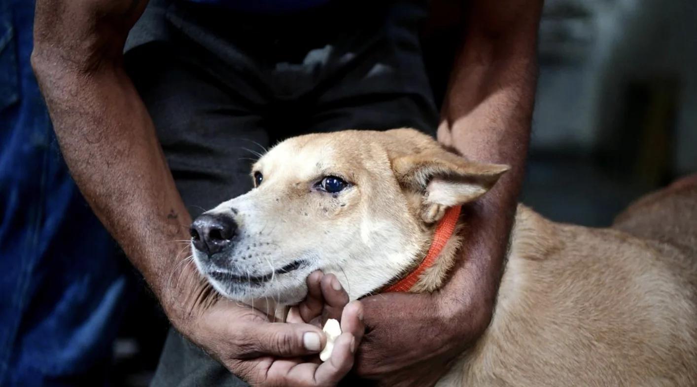 Bhutan Makes History by Eliminating Rabies as a Public Health Problem