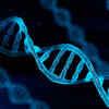 Genetic differences affecting infant's activity also associated with ADHD, study