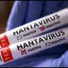 WHO says six hantavirus cases confirmed so far