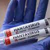 Spain reports new hantavirus case, tally rises to 11