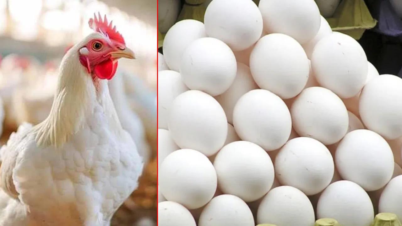 Chicken – Egg Price: తగ్గిన చికెన్.. పెరిగిన గుడ్ల ధరలు.. తాజా రేట్లు ఎలా ఉన్నాయంటే..
