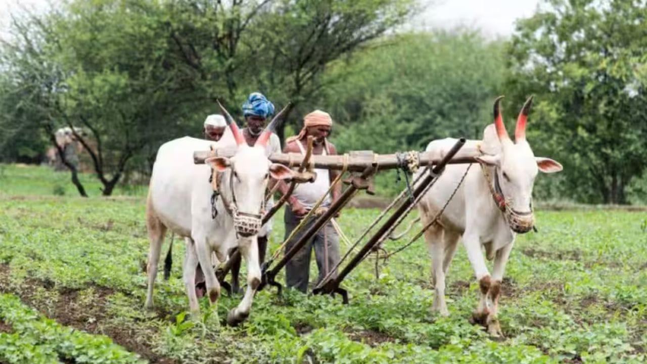 Business Idea: సమ్మర్‌లో సూపర్ బిజినెస్.. 40 రోజుల్లోనే లక్షలు సంపాదించొచ్చు..! ఎలా అంటే?