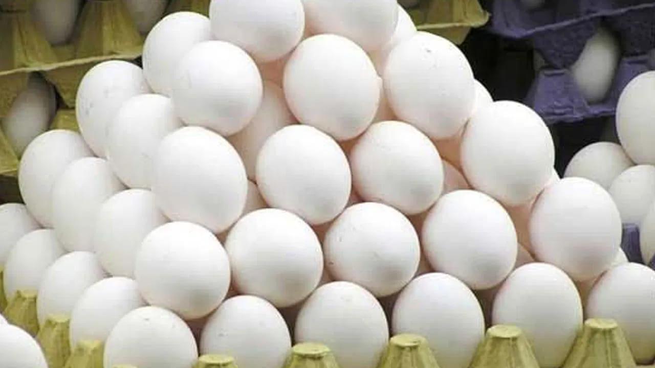 గుడ్డు పచ్చసొన తినాలా వద్దా? అసలు నిజం ఏమిటి? పోషకాల పూర్తి విశ్లేషణ!