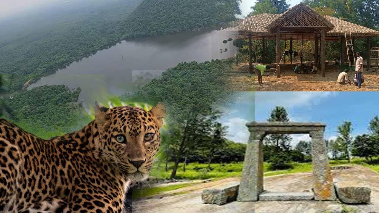 Telangana: సత్తుపల్లి అడవుల్లో ‘వైల్డ్’ లైఫ్ సందడి.. ట్రాప్ కెమెరాల్లో అద్భుత దృశ్యాలు..!