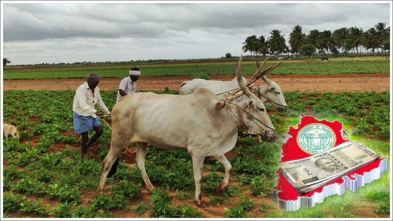 Rythu Bharosa: రైతుల అకౌంట్లో రైతు భరోసా డబ్బులు.. ఎలా చెక్‌ చేసుకోవాలి? వీరికి మాత్రం రావు..!