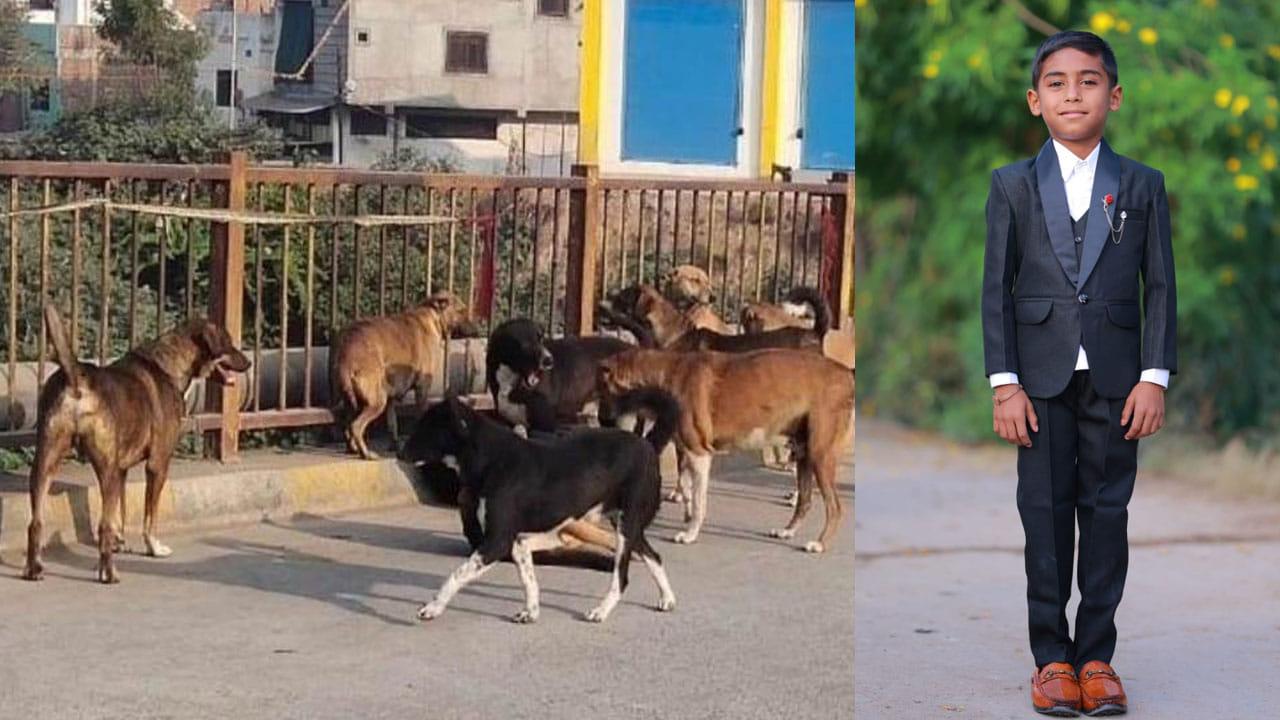 జ్వరం వచ్చిందనుకున్న కుటుంబానికి రేబిస్ షాక్.. 11 ఏళ్ల బాలుడి ప్రాణం బలి!