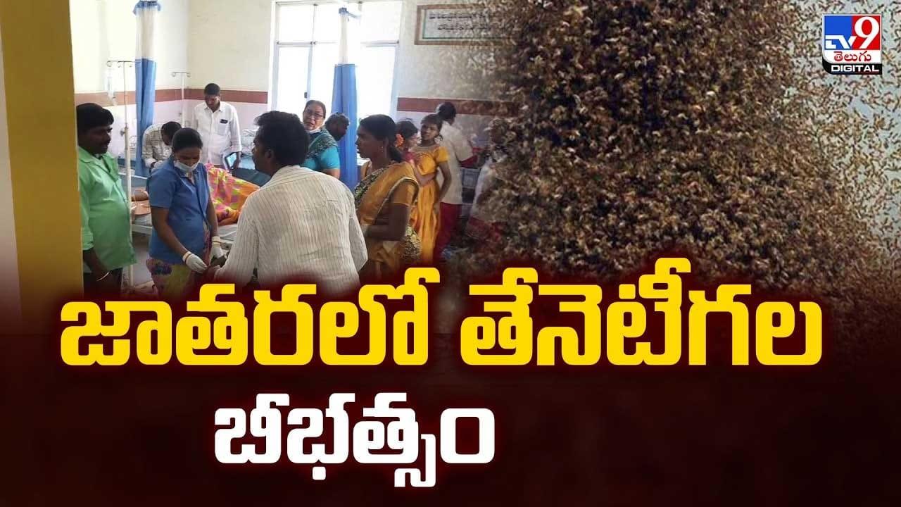జాతరలో తేనెటీగల బీభత్సం