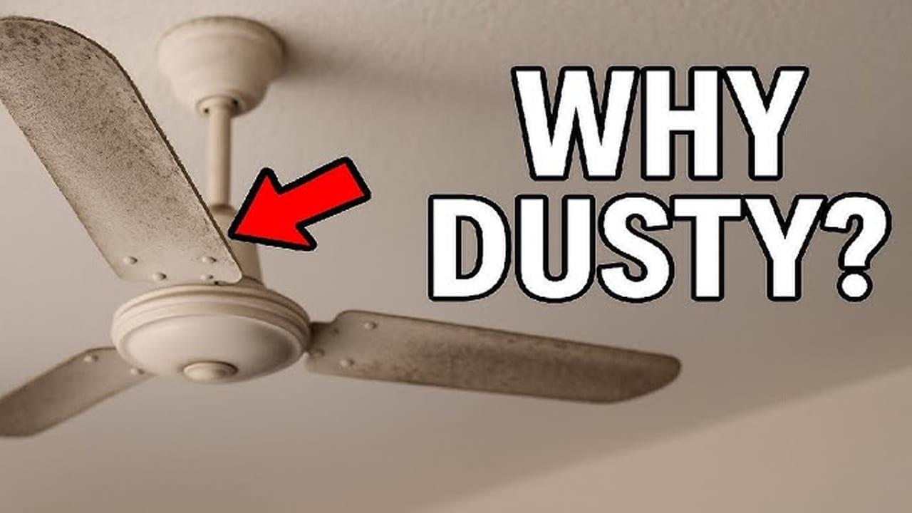 Ceiling Fans Dust: ఫ్యాన్‌ తిరిగేటప్పుడు దానిపై ఉండే దుమ్ము ఎందుకు కింద పడదు? ఈ డౌట్‌ మీకూ వచ్చిందా