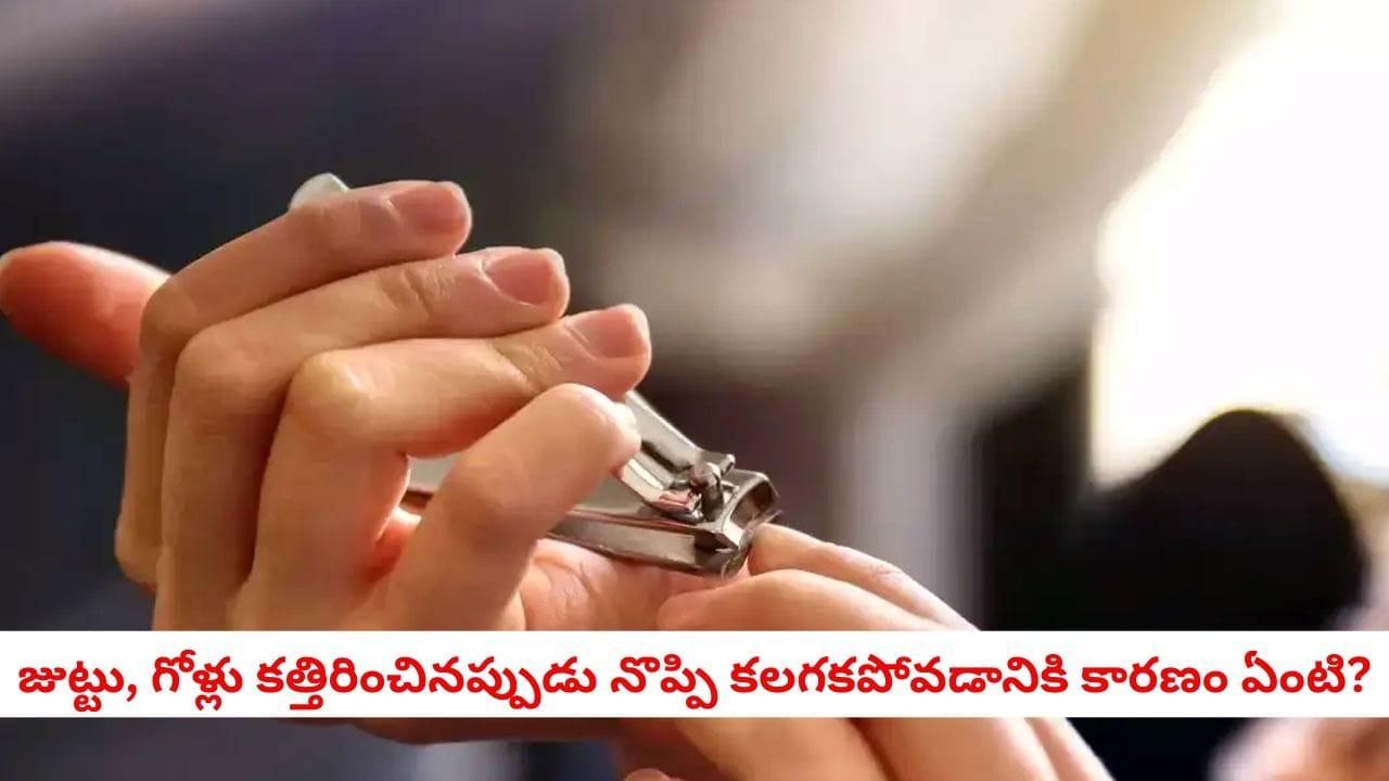 Hair and Nail Trimming: జుట్టు, గోళ్లు కత్తిరించేటప్పుడు నొప్పి ఎందుకు కలగదు?