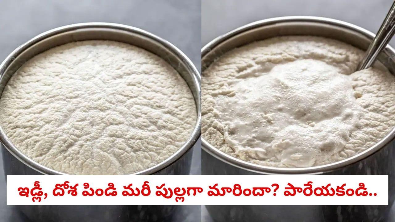 Sour Batter Fix: ఇడ్లీ, దోశ పిండి మరీ పుల్లగా మారిందా? పారేయకండి.. ఈ 4 చిట్కాలతో మళ్ళీ తాజాగా మార్చుకోండి!