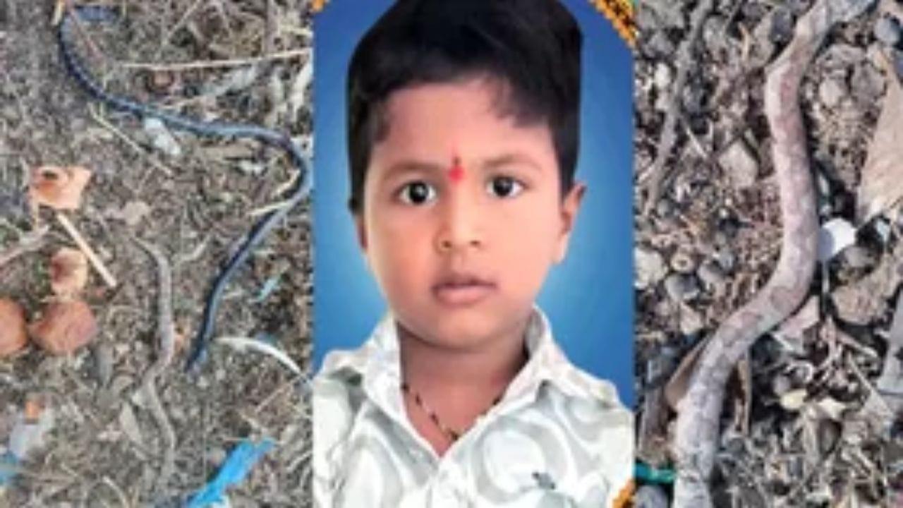 Snakebite: ఒకేసారి రెండు వేర్వేరు పాములు కరిస్తే ఏం జరుగుతుందో తెలుసా?.. శరీరంలో జరిగే మార్పులేంటి?