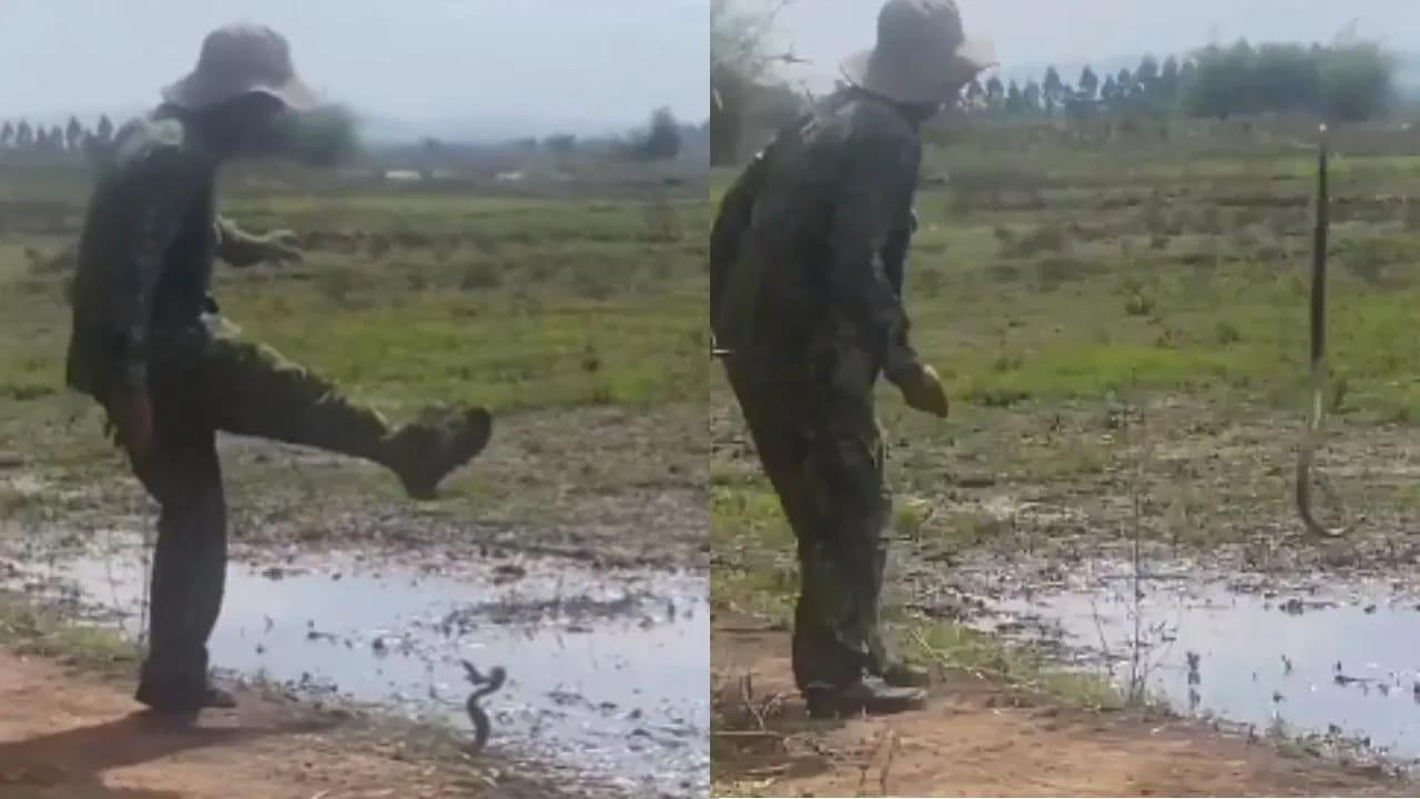 Viral Video: నీ ధైర్యానికి దండం రా సామీ.. పాముతో ఫుట్‌బాల్ ఆడుకున్నాడు.. వీడియో చూస్తే దిమ్మతిరిగిపోద్ది..