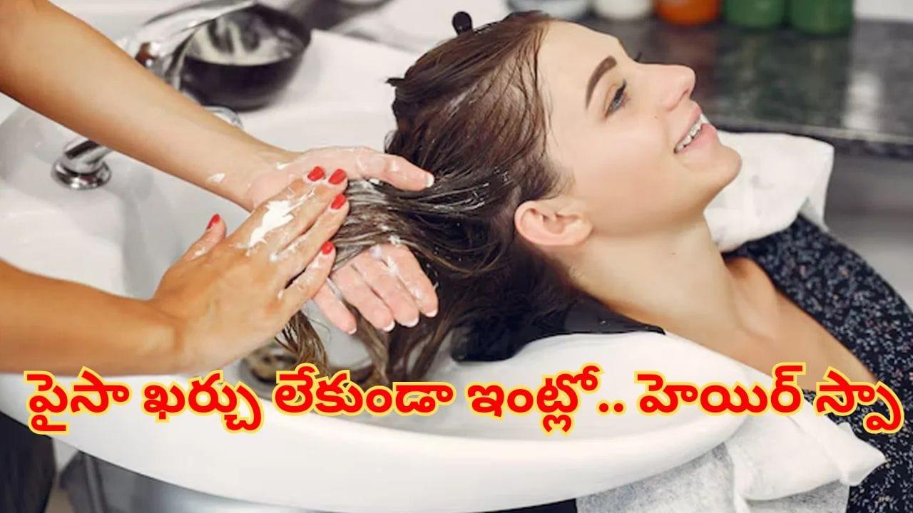 Hair Spa : పార్లర్‌కు వెళ్లే పని లేదు.. జస్ట్ ఈ సింపుల్‌ చిట్కాలతో ఇంట్లోనే ఈజీగాహెయిర్‌ స్పా చేసుకోండి