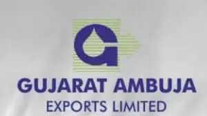 MF Picks: 13 smallcap stocks surge up to 115% in six months; 3 turn multibaggers