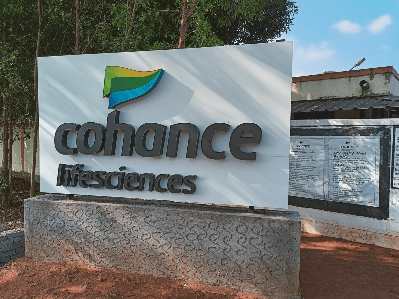 Cohance Lifesciences shares skyrocket 20% on hiring former Cipla CEO Umang Vohra