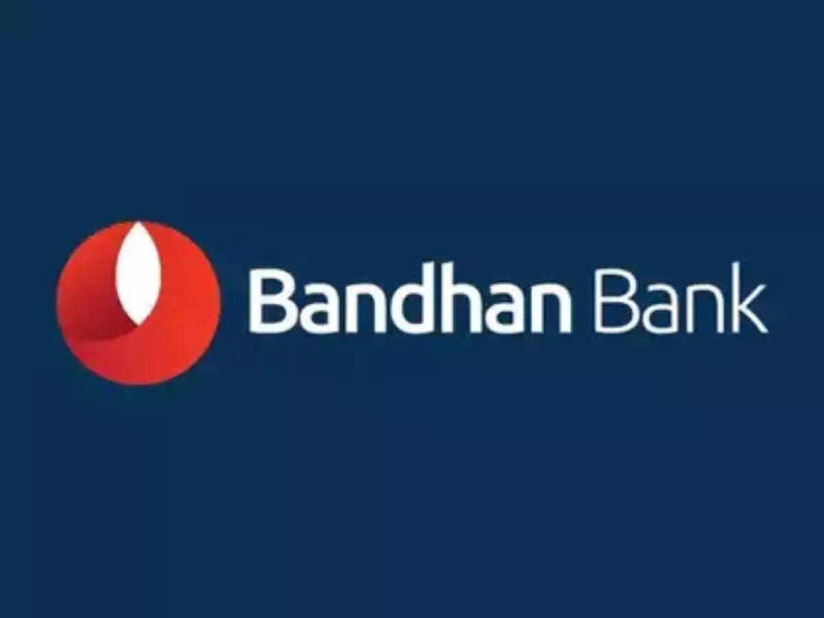 Bandhan Bank Q4 results: Profit jumps 68% YoY to Rs 530 crore; NII up marginally