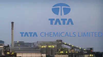 Tata Chemicals Q4 results: Cons loss widens YoY to Rs 2,132 crore on exceptional items; revenue drops 2%