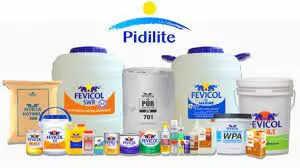 Pidilite Industries shares in focus after Q4 net profit jumps 37% to Rs 584 crore, revenue rises 14%