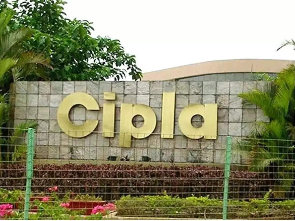 Cipla Q4 Results: Profit falls 55% YoY to Rs 555 crore; co declares Rs 13/sh dividend