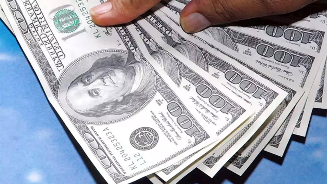 Dollar hits 13-month highs as investors bank on rate hikes