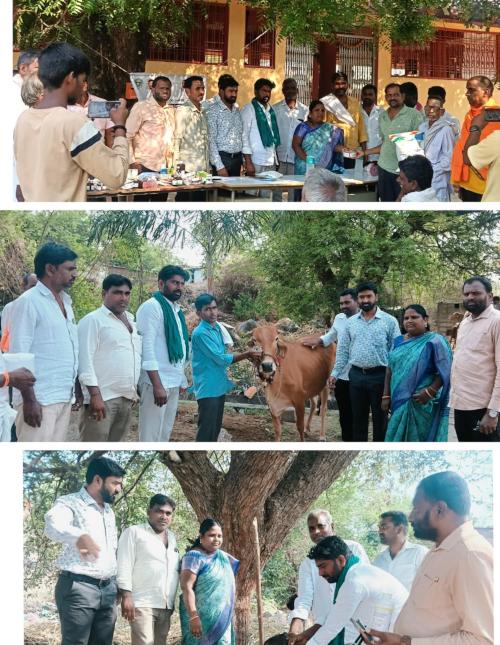 పడంపల్లిలో పశువులకు టీకాల పంపిణీ