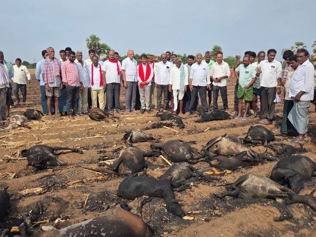ప్రభుత్వ నిర్లక్ష్యం వల్లే మొక్కజొన్న పంట అగ్నికి ఆహుతి: సీపీఐ(ఎం)