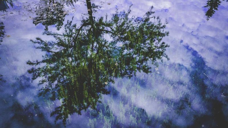 4 Killed as Car Rams into Tea Stall in Vizianagaram