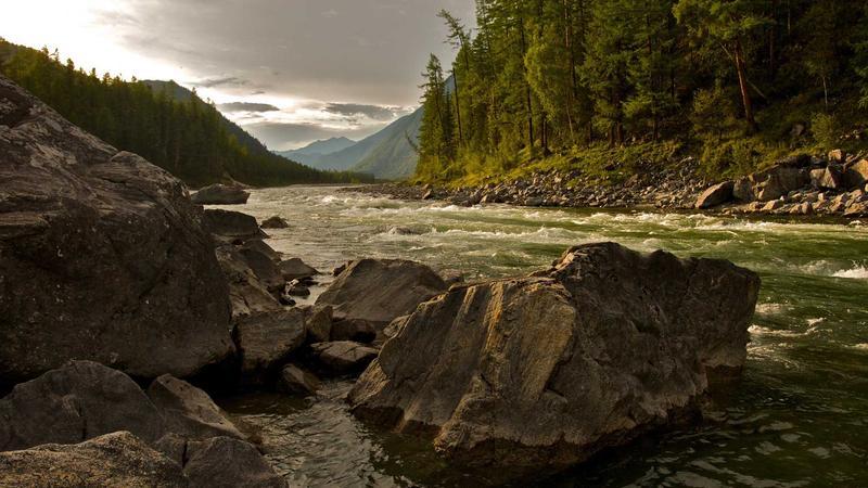 హైదరాబాద్‌ పోలీసుల ‘వ్యూహం’.. దేశానికే దిక్సూచి