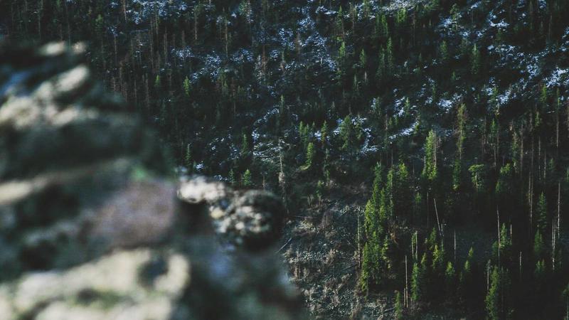 Andhra University Centenary Celebrations Kick Start In Visakhapatnam