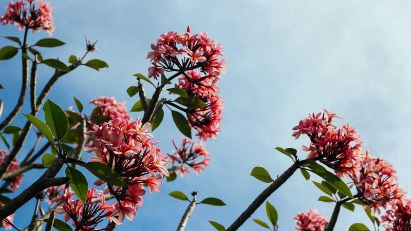 APJAC Condemns Deputy Speaker’s Remarks Against Bapatla Collector