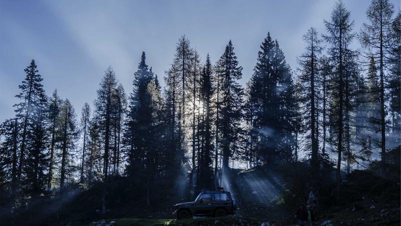 బీజేపీలో ఏడుగురు ఆప్ ఎంపీల చేరిక‌..రాజ్యసభ ఛైర్మన్ ఆమోదం