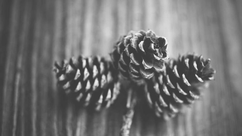 RRR 2: SS రాజమౌళి అధికారిక ప్రకటన