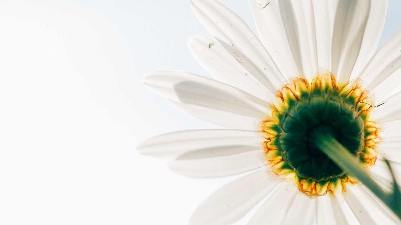 యోగా దినోత్సవం: మోదీ 5 కోట్ల మంది పాల్గొన్న రికార్డు