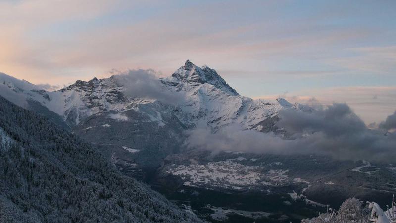 BJP Unveils Five Nominees for Maharashtra MLC Elections