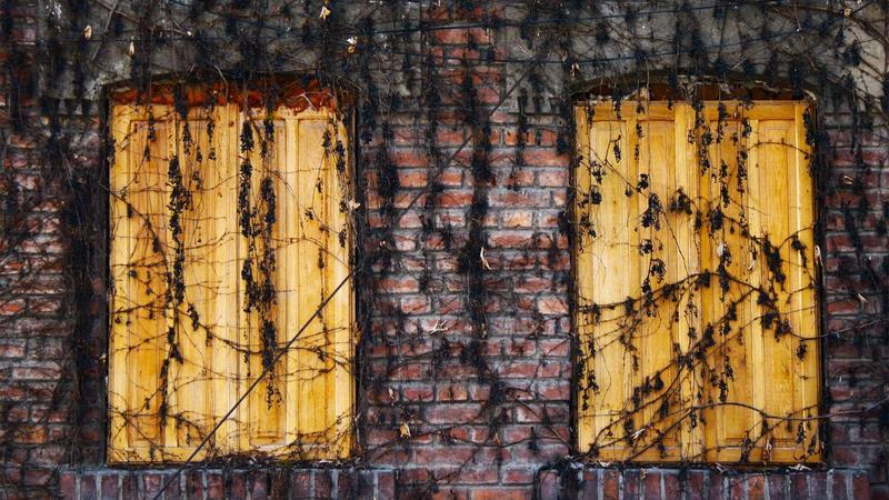 China blocks Meta’s acquisition of AI startup Manus