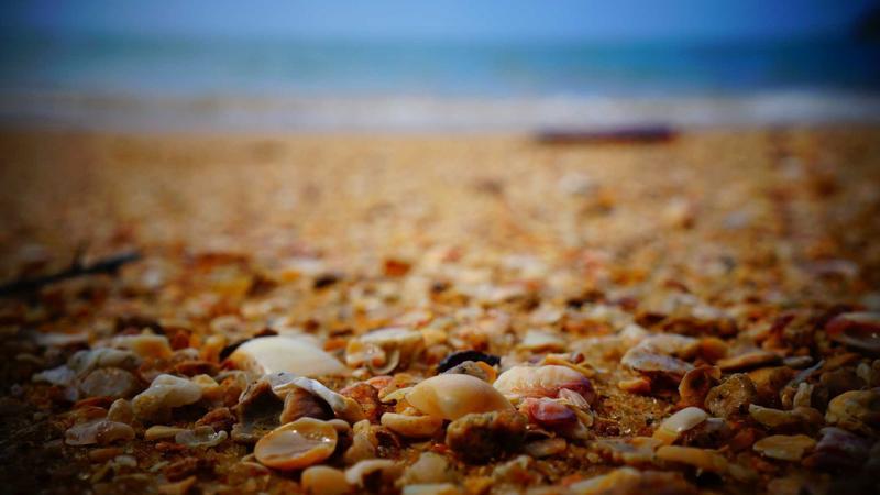 Congress Government Focus on Direct Outreach to People: Ponguleti