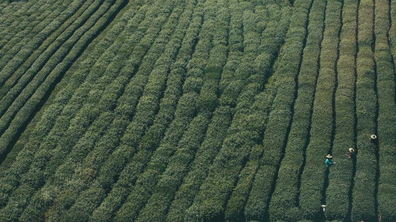 EV startup Faraday Future paid $7.5M to company tied to founder Jia Yueting