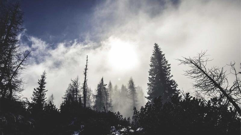 Fire Contained At Kishanbagh Furniture Godown