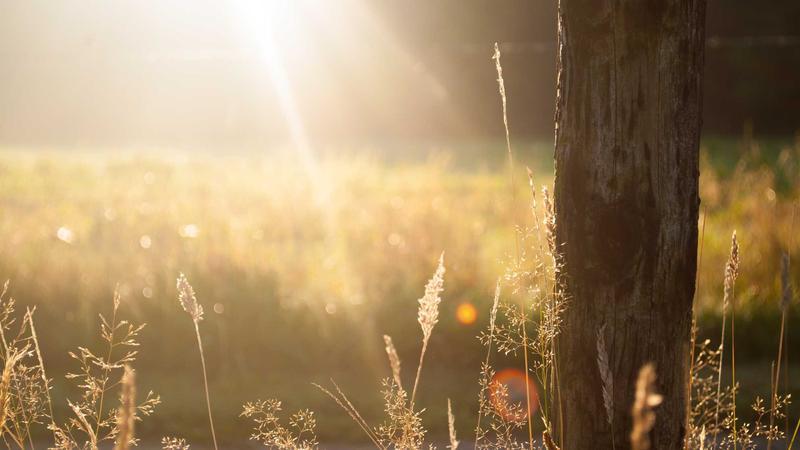 గ్రామాలలో ఘనంగా ఆవిర్భావ దినోత్సవ వేడుకలు