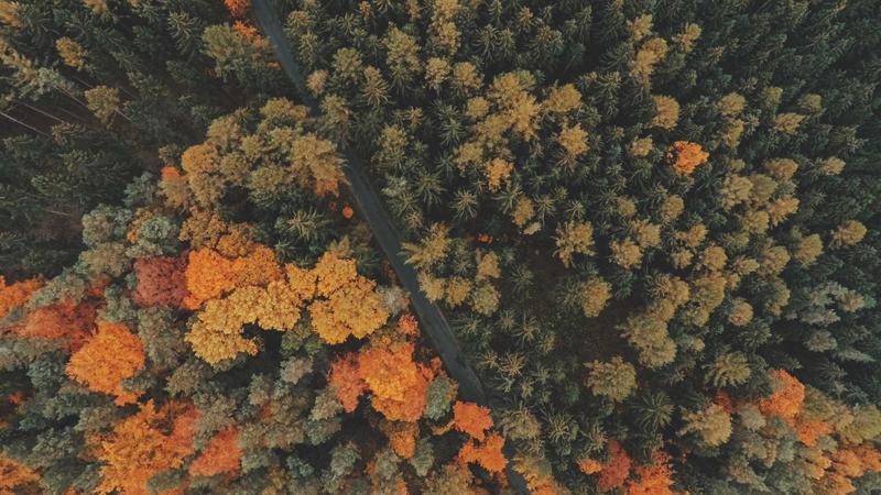 How A Non-Believer In North India Claim Right Of Entry In Sabarimala Temple: SC