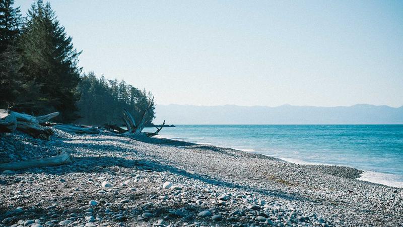 ఇండియన్‌ బ్యాంక్‌కు రూ.3,103 కోట్ల నికర లాభాలు