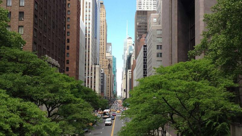 జోరు కొనసాగేనా?