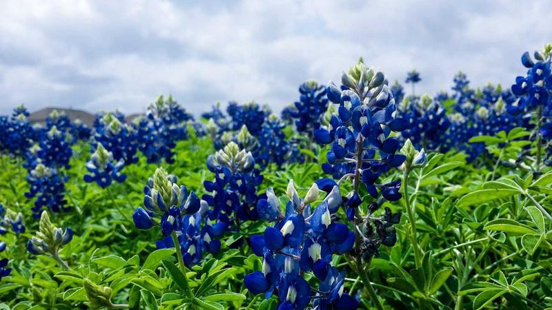 కార్మిక ఐక్యతకు ప్రతీక మేడే