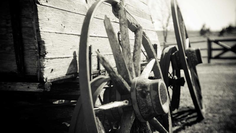 Mohd Azharuddin, Prof. Kodandaram Take Oath As MLCs; CM Revanth Attends