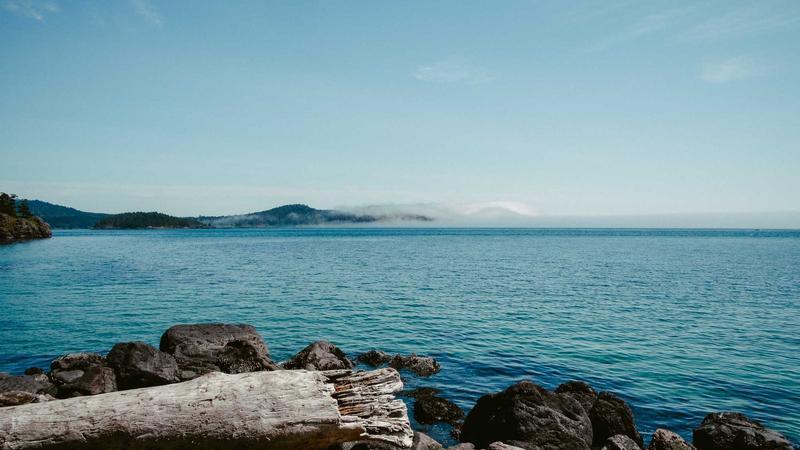 న్యాయంపై నమ్మకం లేదు