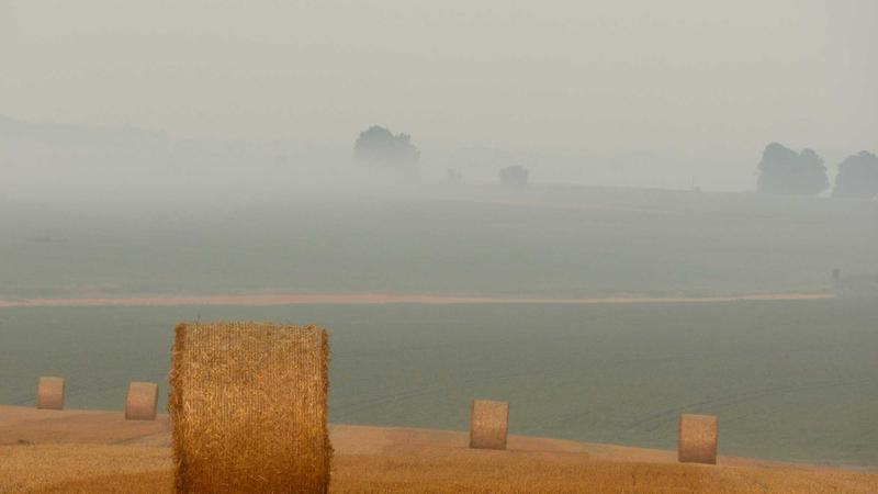 OZO Foundation CEO Joins BRS