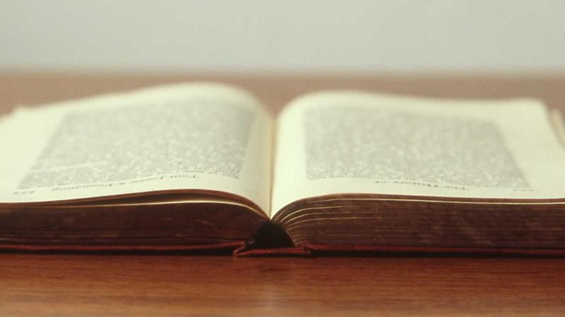 పామాయిల్‌ రైతుల సమస్యలపై ఉద్యమం